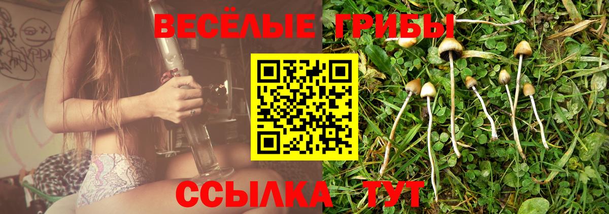 Саратов  Галлюциногенные грибы GOLDEN TEACHER  Вход с VPN 